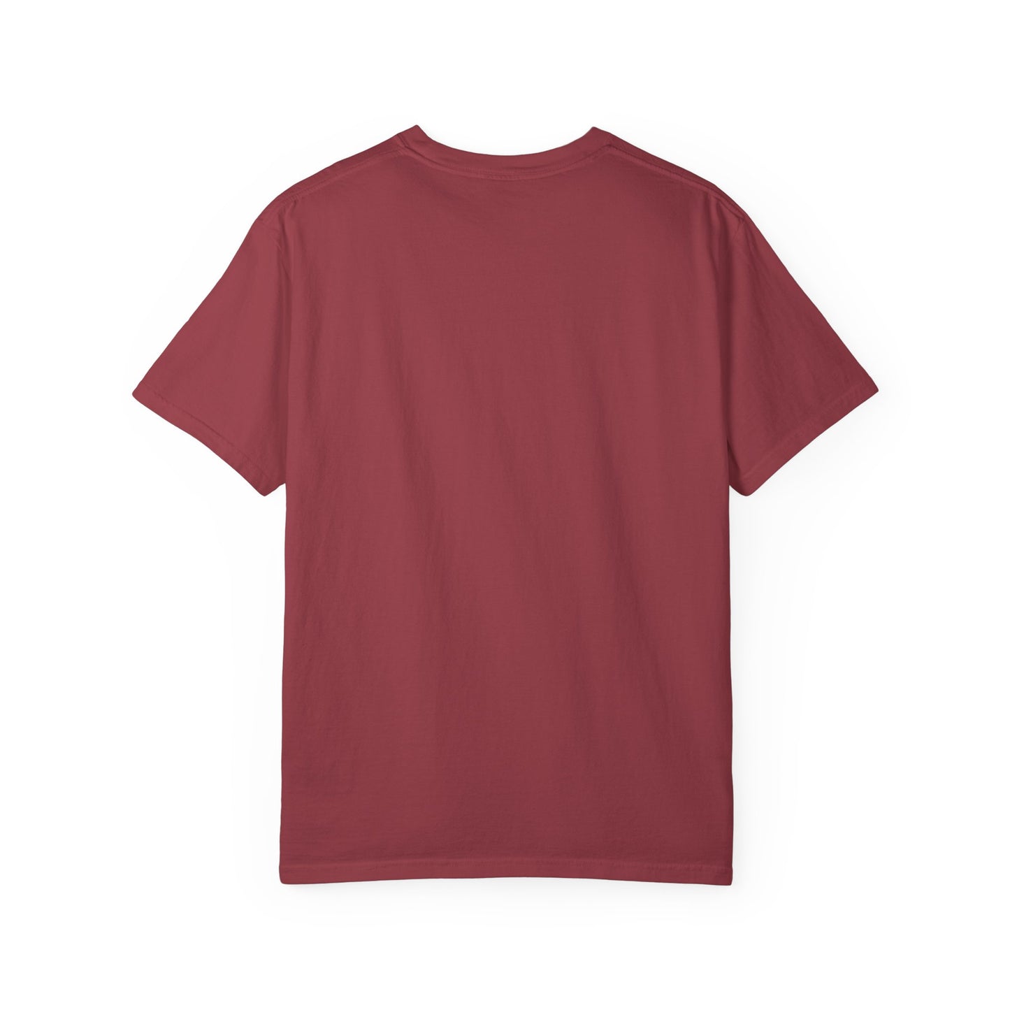 Funny Frog Monday T-Shirt - Unisex Garment-Dyed Tee