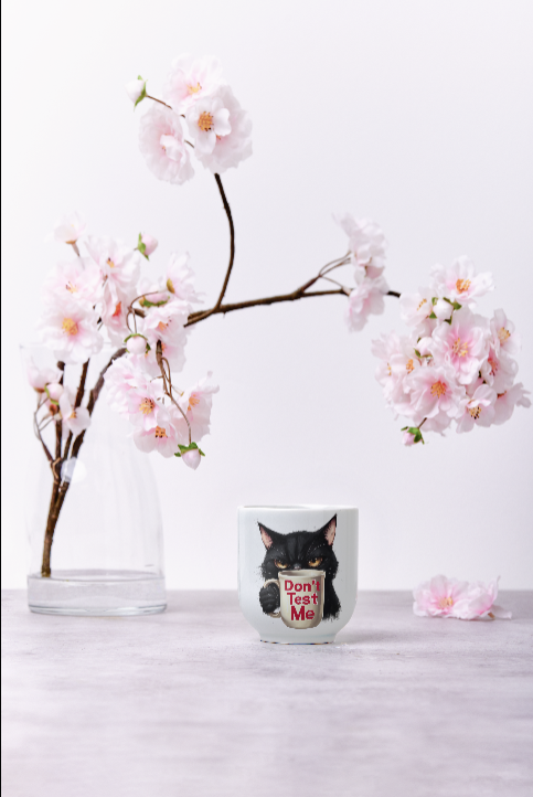 Funny Cat Mug, Don't Test Me Coffee Accent Mug