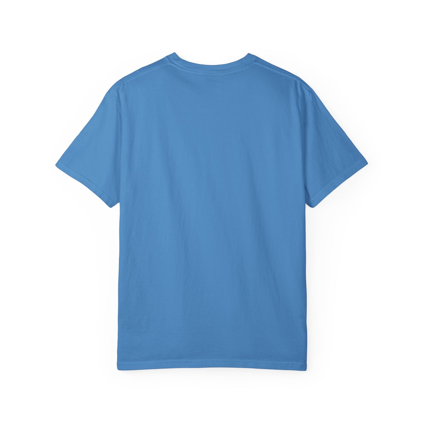 Funny Frog Monday T-Shirt - Unisex Garment-Dyed Tee